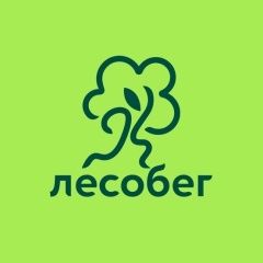 Лесной кросс | Лесобег